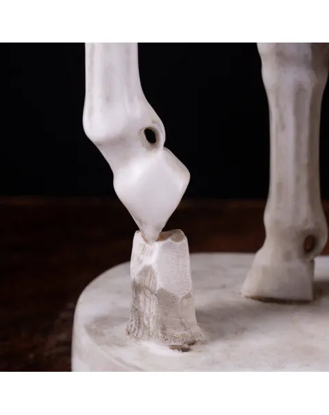 Centauro in Marmo di Carrara con Teschio: Simbolo di Mitologia e Fugacità del Tempo.