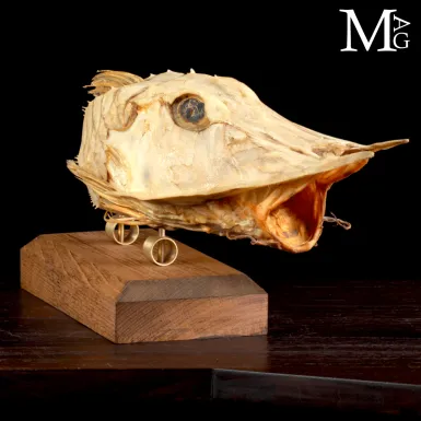 Mostro Marino Corazzato dei Mari d’Oriente: Saty...