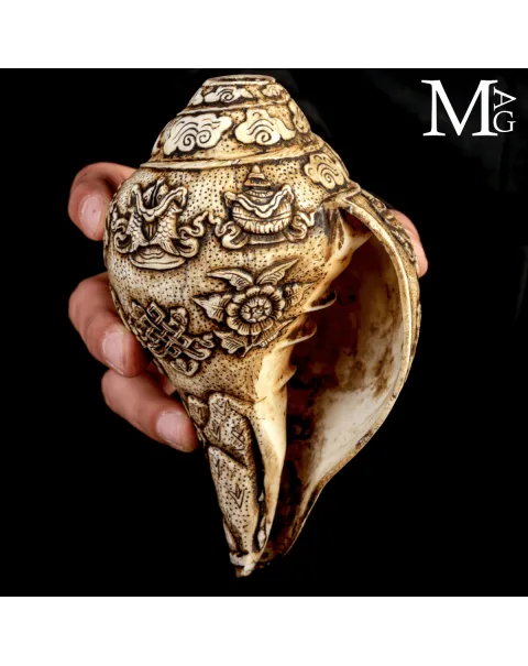 Conchiglia Shankha Tibetana Scolpita – Simboli Buddhisti.
