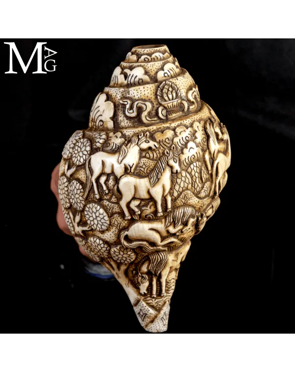 Conchiglia Shankha Tibetana Scolpita – Cavalli n...