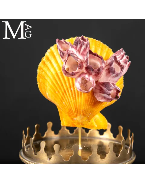 Reliquia Marina – Pecten giallo con balani in capsula.