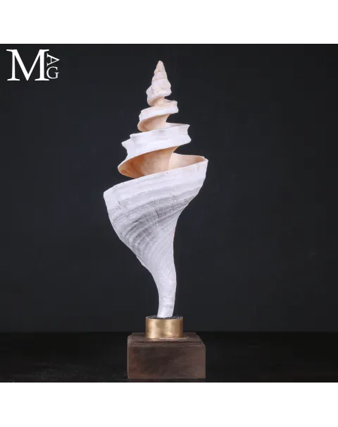 Triplofusus Giganteus – Scultura della Spirale Mrina