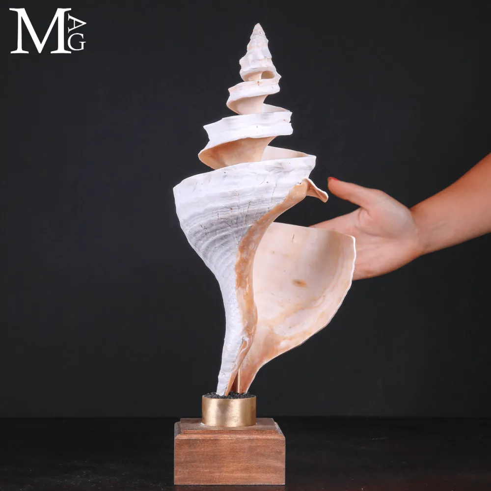 Triplofusus Giganteus – Scultura della Spirale Mrina