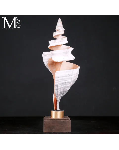 Triplofusus Giganteus – Scultura della Spirale Mrina