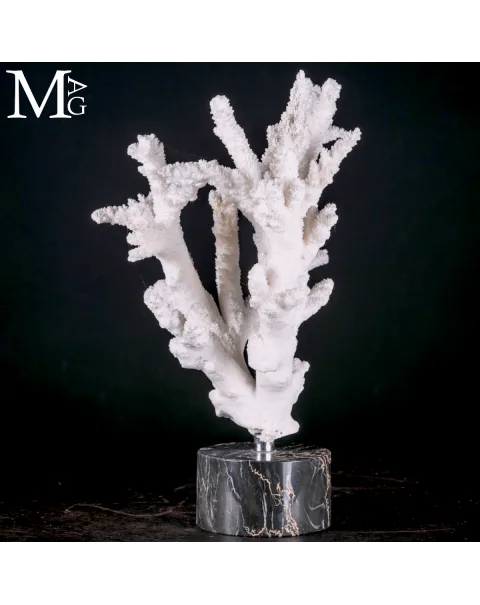 Ramo di Corallo Acropora su Marmo.