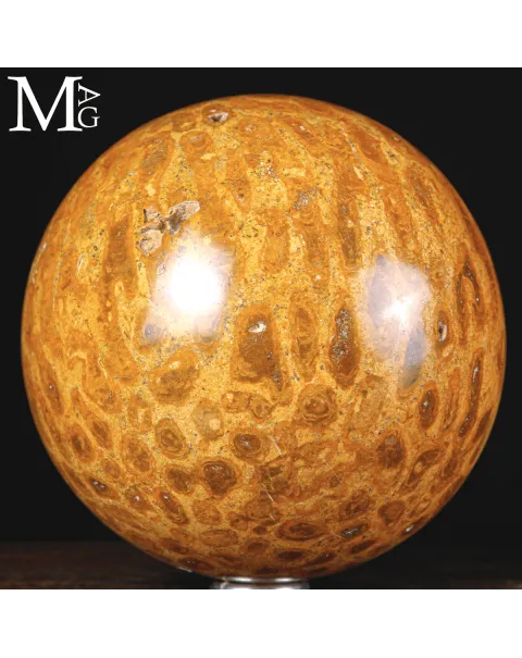 Sfera di Corallo Fossile dal Madagascar.