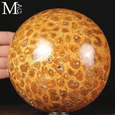 Sfera di Corallo Fossile dal Madagascar.