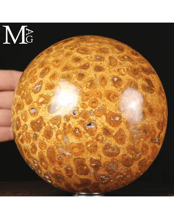 Sfera di Corallo Fossile dal Madagascar.