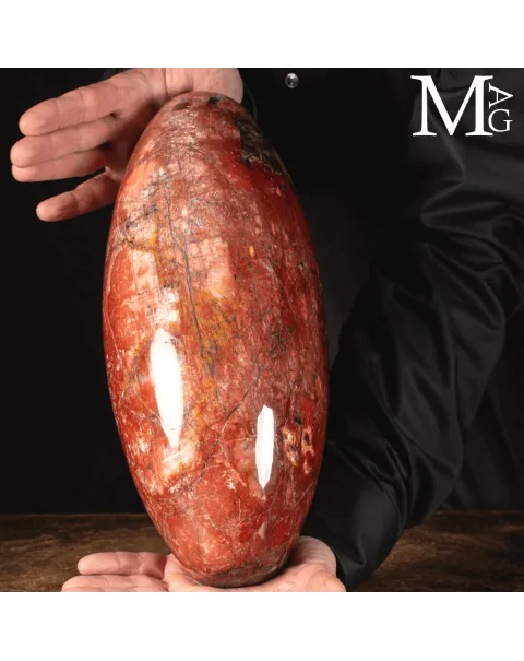 Shiva Lingam in Legno Fossile Agatizzato.
