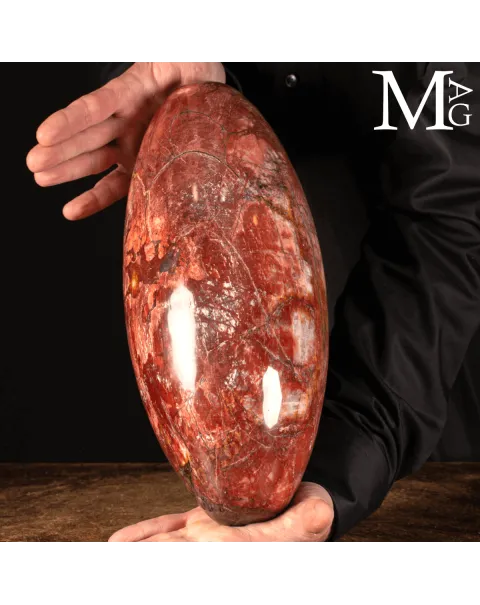 Shiva Lingam in Legno Fossile Agatizzato.