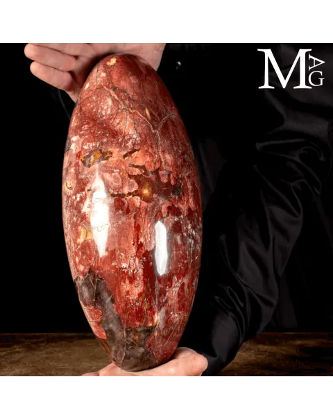 Shiva Lingam in Legno Fossile Agatizzato.