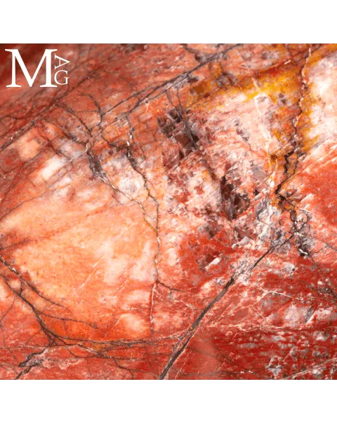 Shiva Lingam in Legno Fossile Agatizzato.
