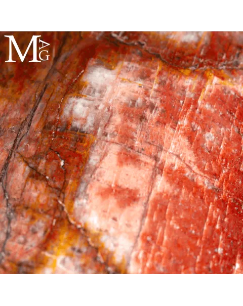 Shiva Lingam in Legno Fossile Agatizzato.