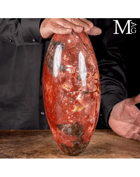Shiva Lingam in Legno Fossile Agatizzato.