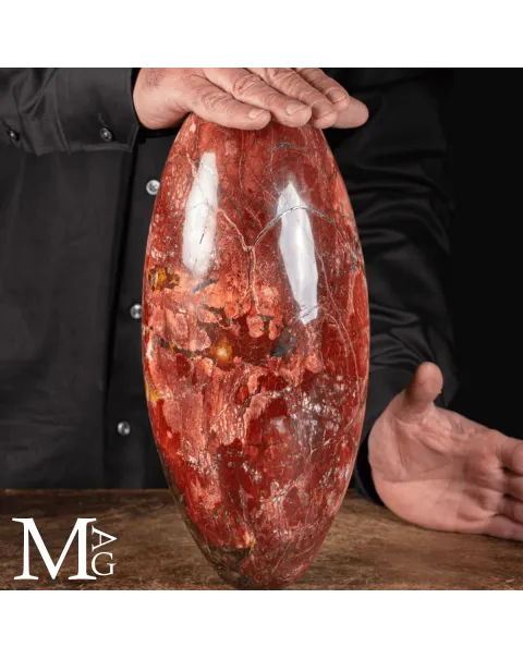 Shiva Lingam in Legno Fossile Agatizzato.