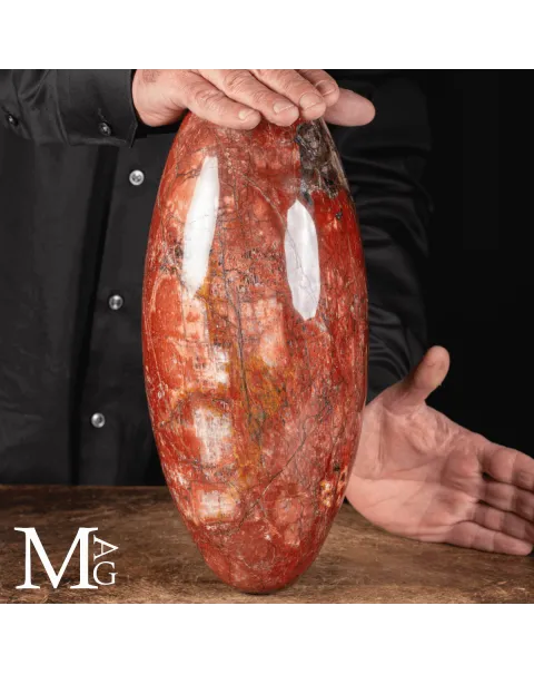 Shiva Lingam in Legno Fossile Agatizzato.