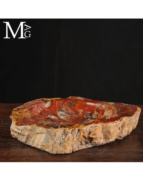 Svuotatasche in legno fossile Agatizzato – Madagascar