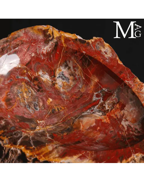 Svuotatasche in legno fossile Agatizzato – Madagascar