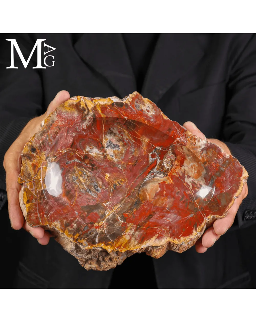 Svuotatasche in legno fossile Agatizzato – Madagascar