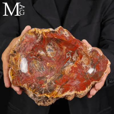 Svuotatasche in legno fossile Agatizzato – Madagascar
