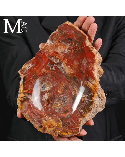 Svuotatasche in legno fossile Agatizzato – Madagascar