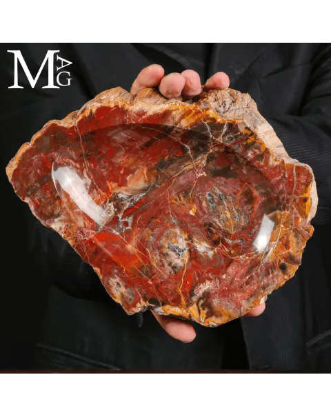 Svuotatasche in legno fossile Agatizzato – Madagascar