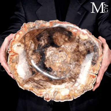 Svuotatasche in Legno Fossile del Madagascar