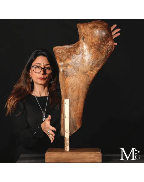 Femore Fossile di Mammut – Siberia, Pleistocene.