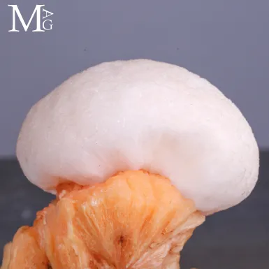 Campione di Mesolite e Stilbite dell’India