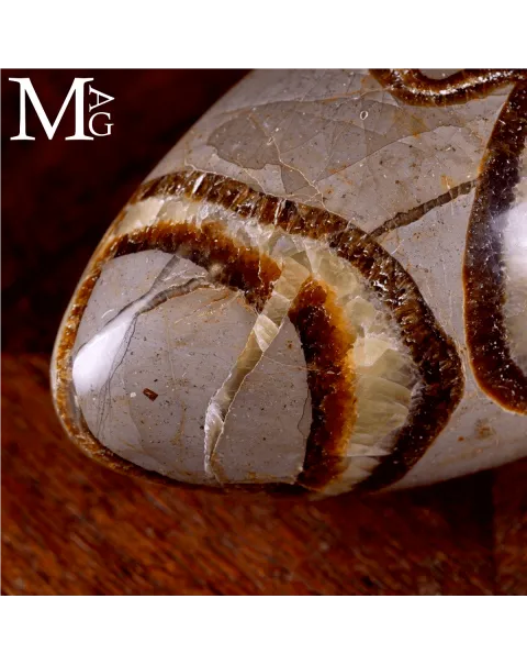 Shiva Lingam in Septaria: Aragonite e Calcite