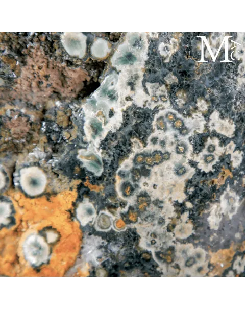 Ocean Jasper – Grande diaspro oceanico orbiculare della 4ª vena