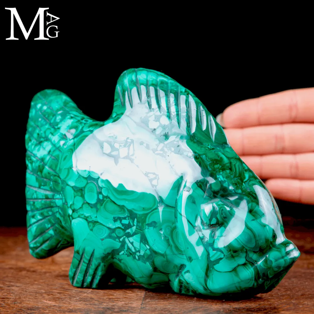 Scultura in Malachite – Pesce Tropicale.