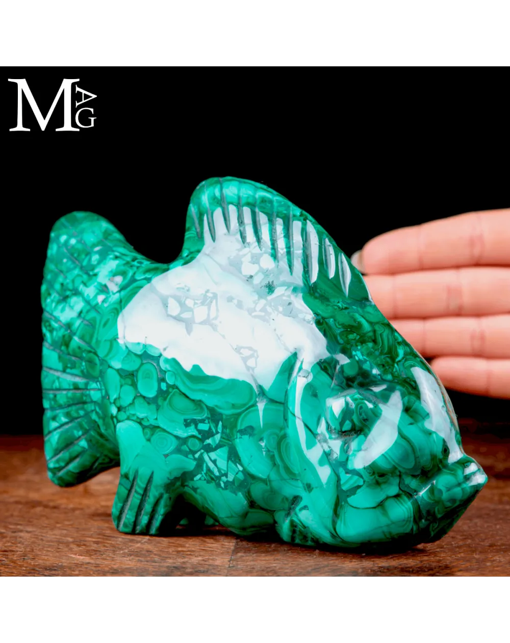 Scultura in Malachite – Pesce Tropicale.