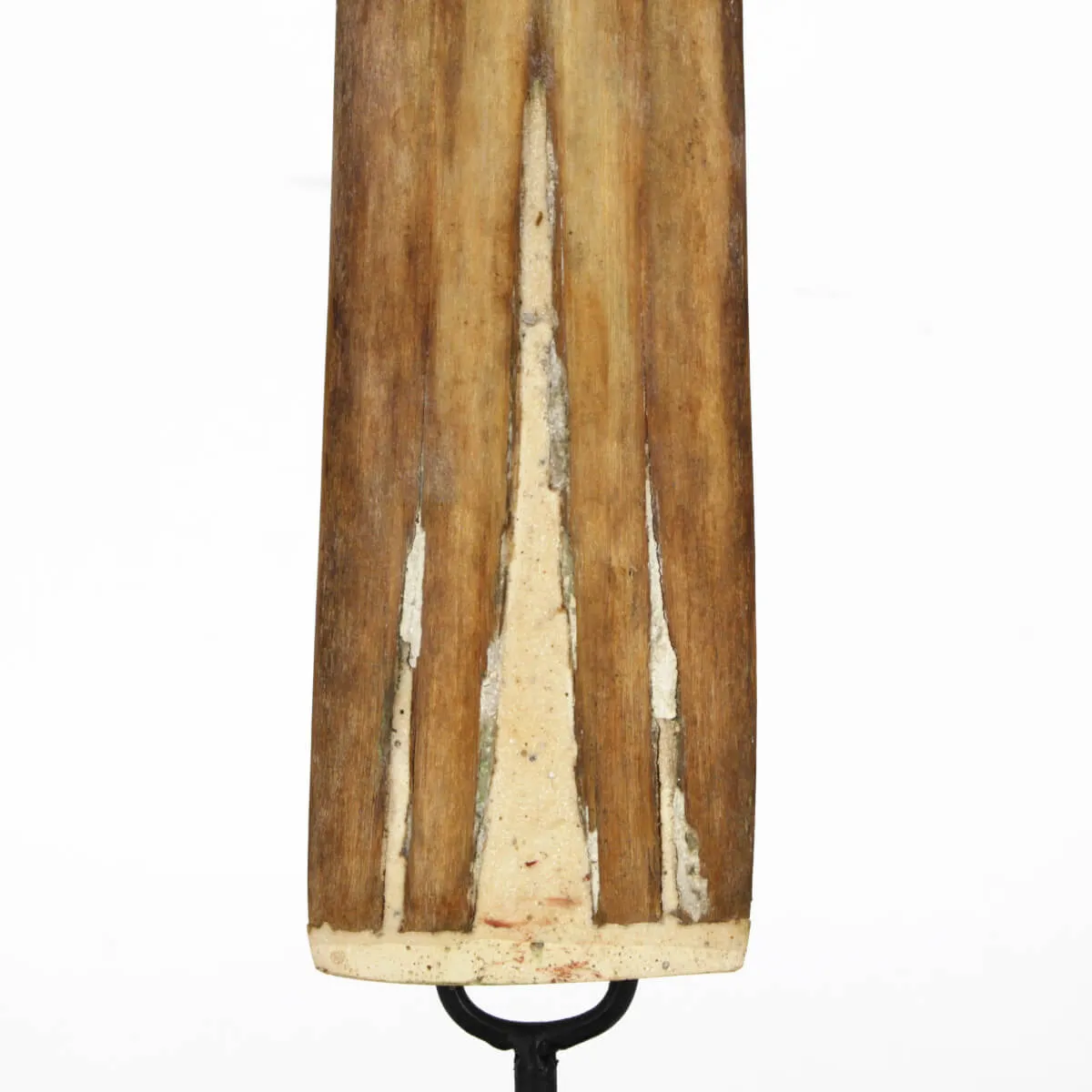 Rostro di Pescespada