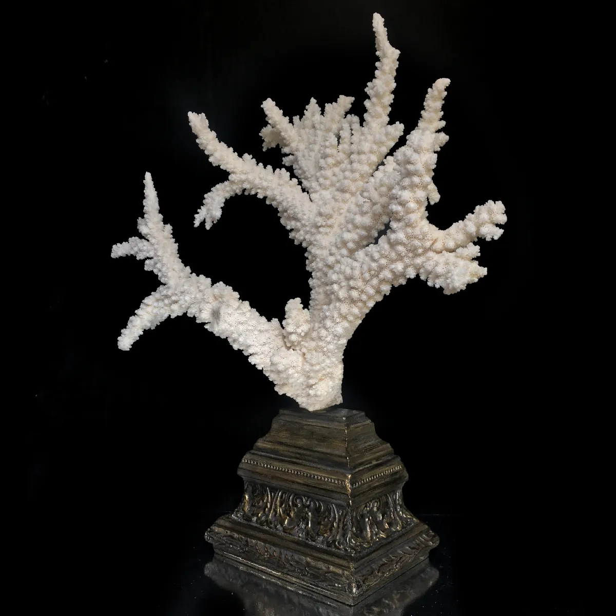 Corallo Bianco Decorativo