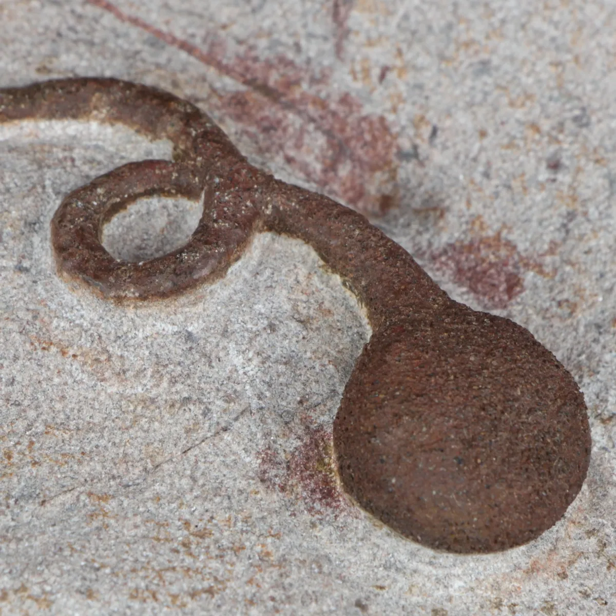 Lobolite