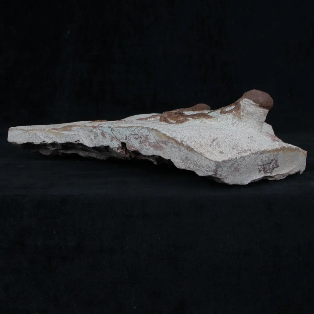 Lobolite