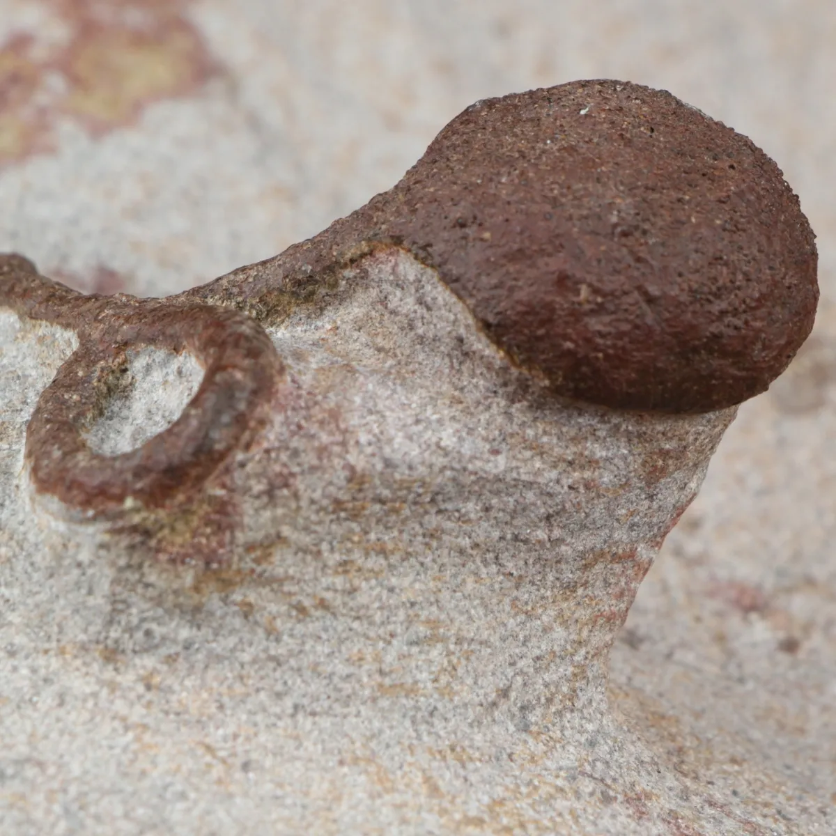 Lobolite