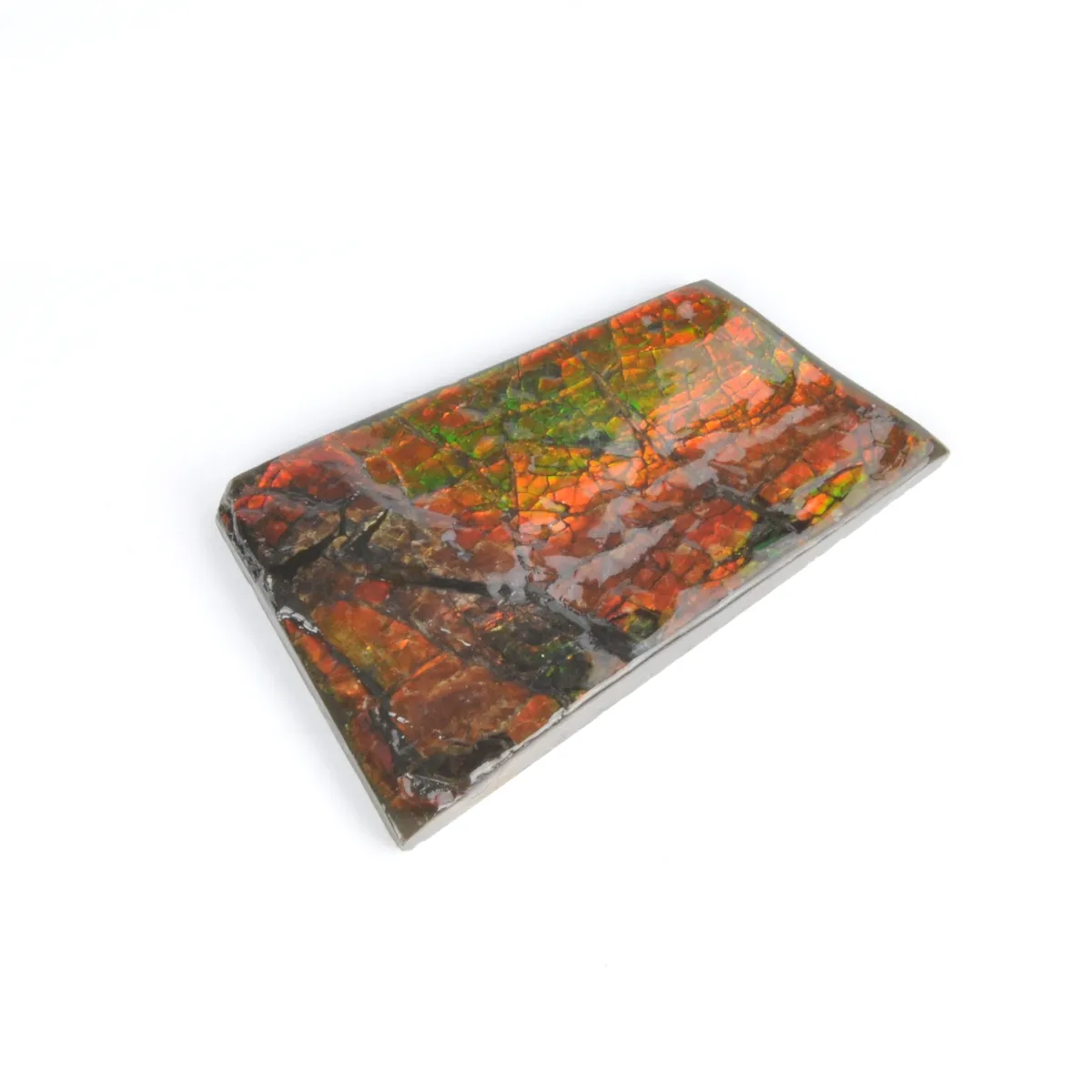 Ammolite