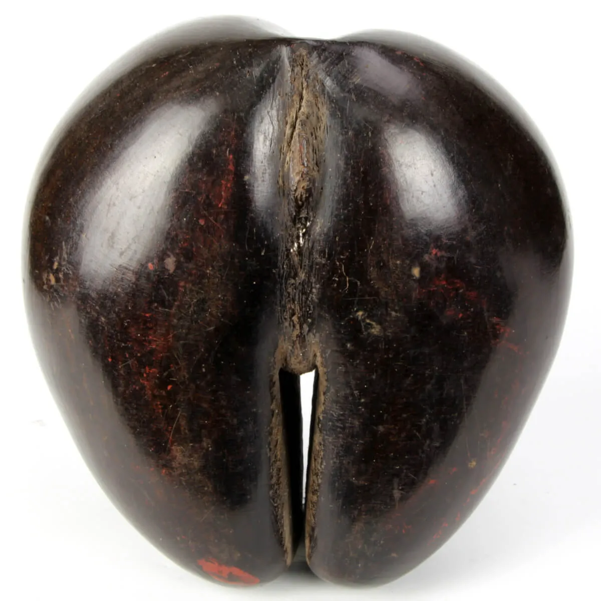 Coco de Mer