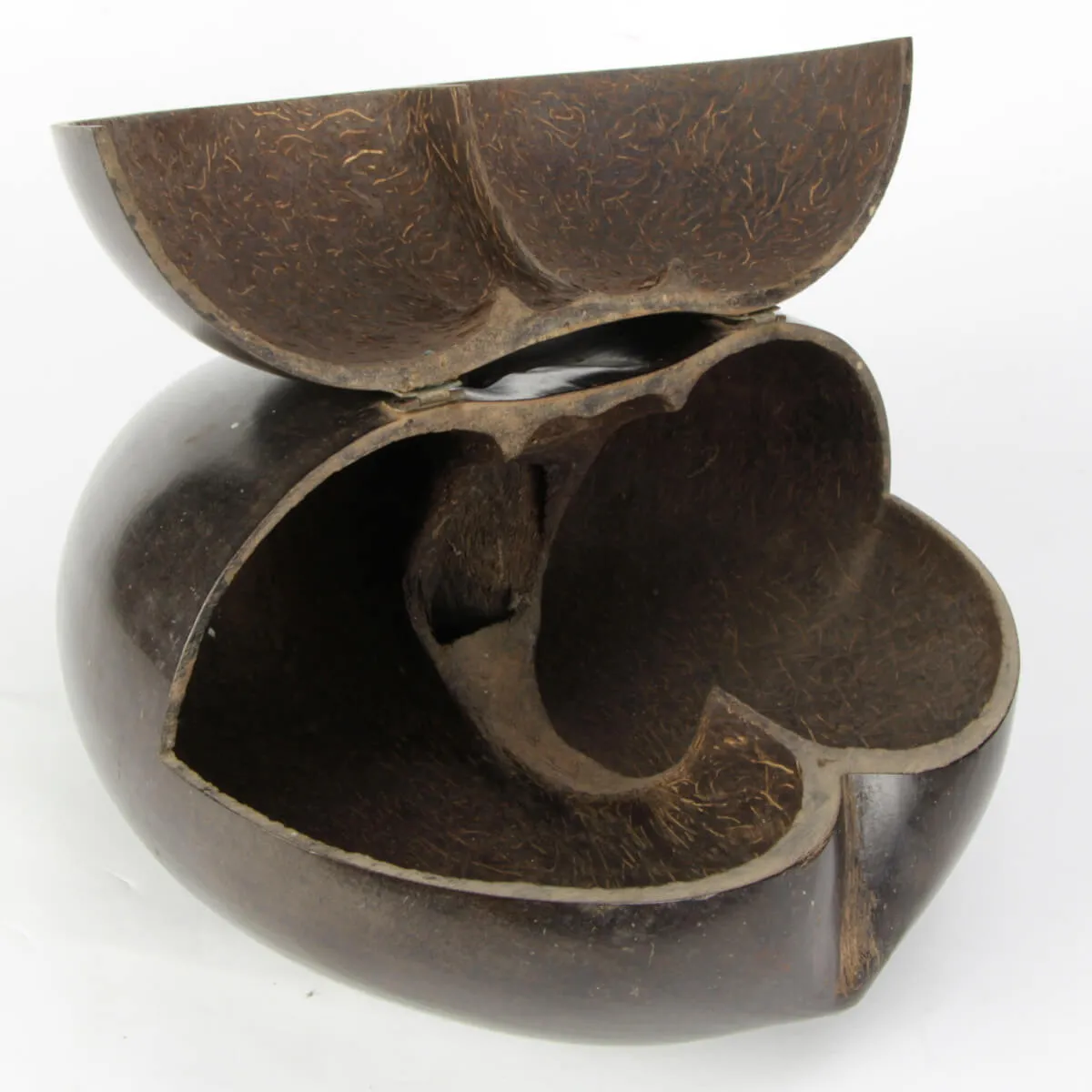 Coco de Mer