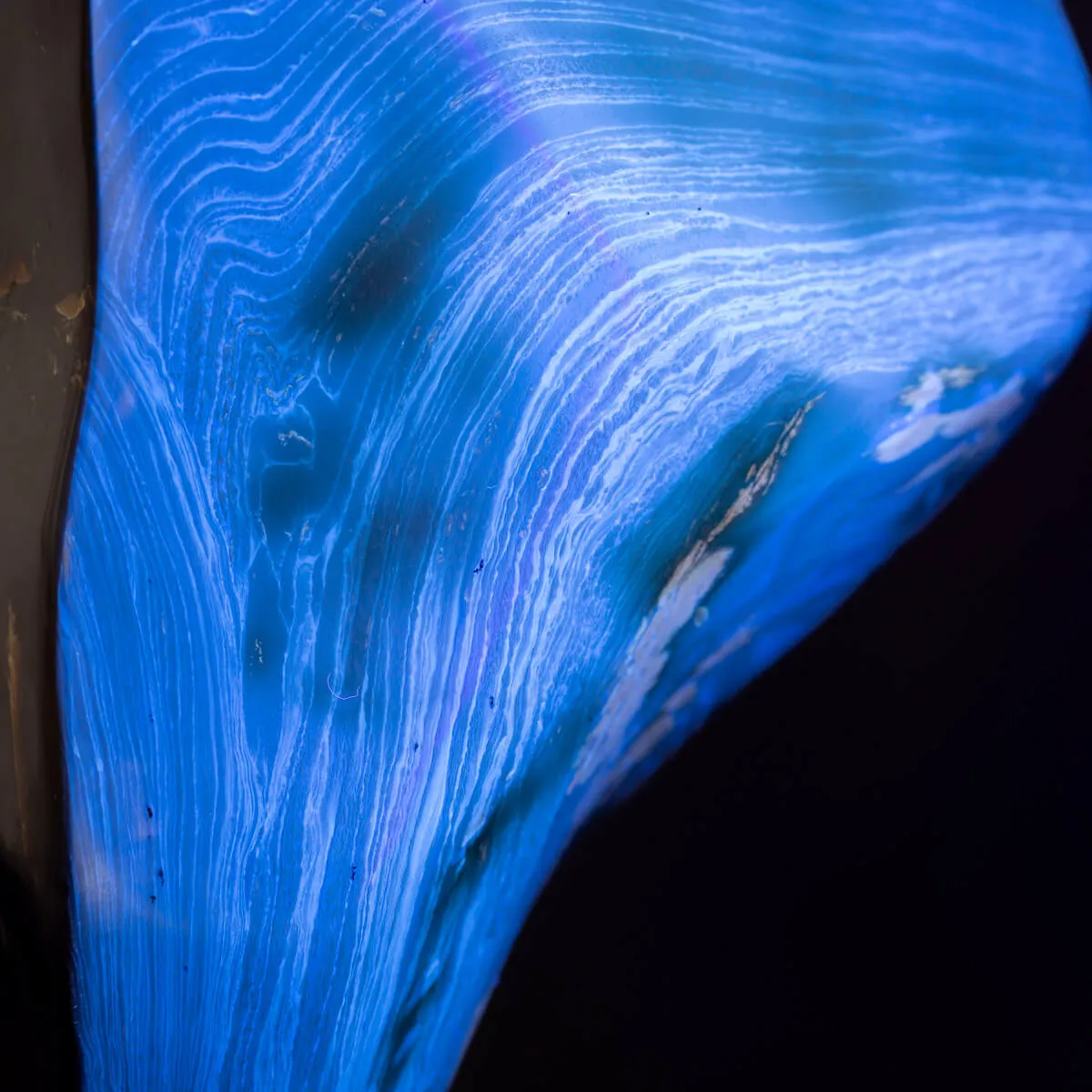 Esclusivo Campione di Ambra Blu su Base Decorativa in Legno e Ottone.