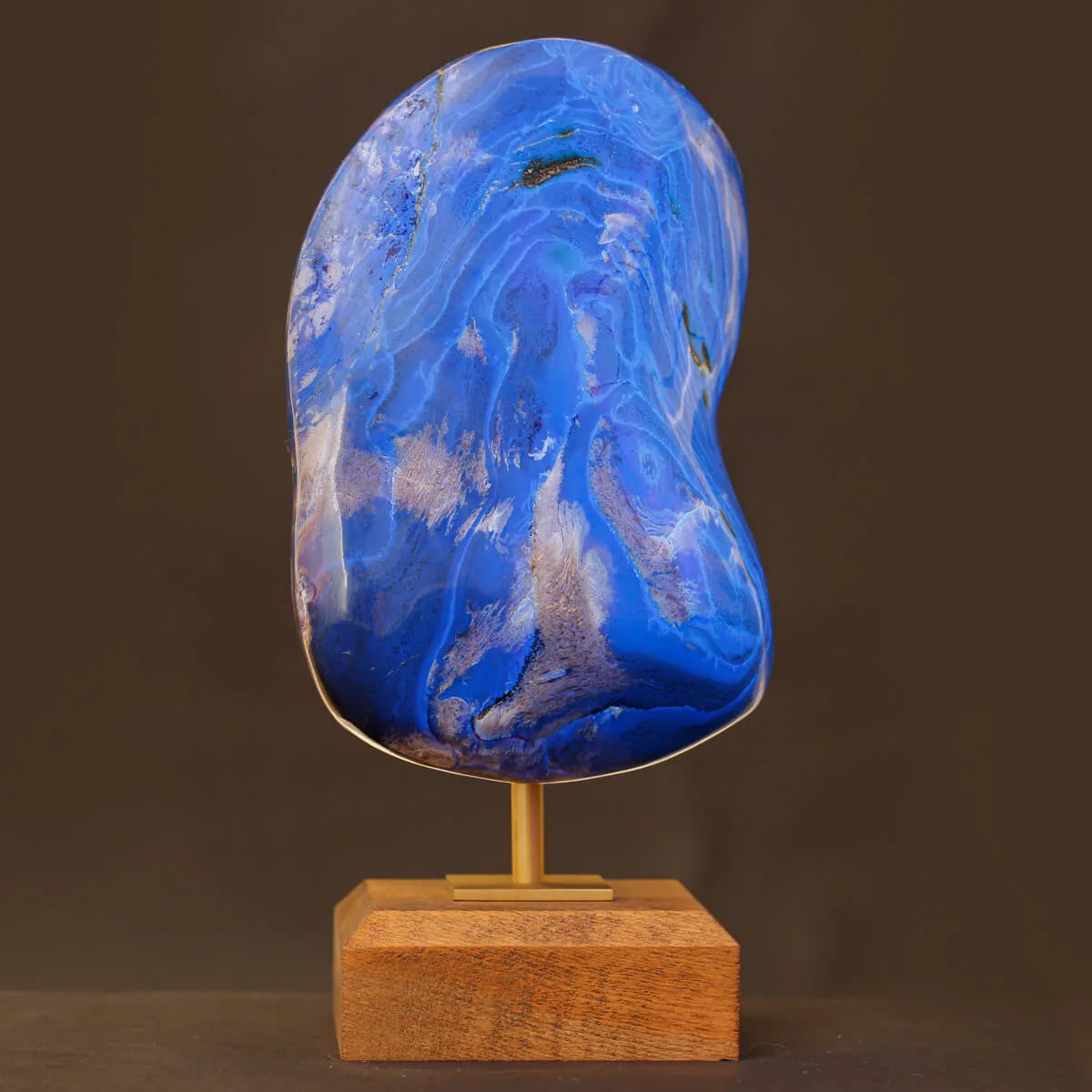 Campione Ambra Blue Indonesiana.