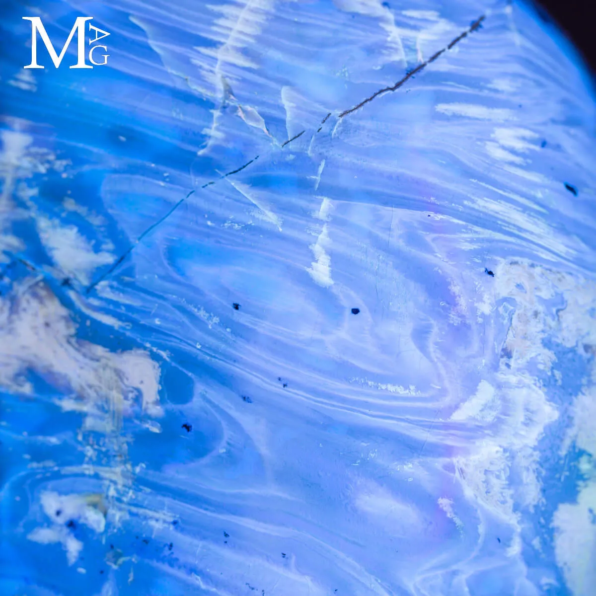 Ambra Blue - dalla colata arborea al fossile.