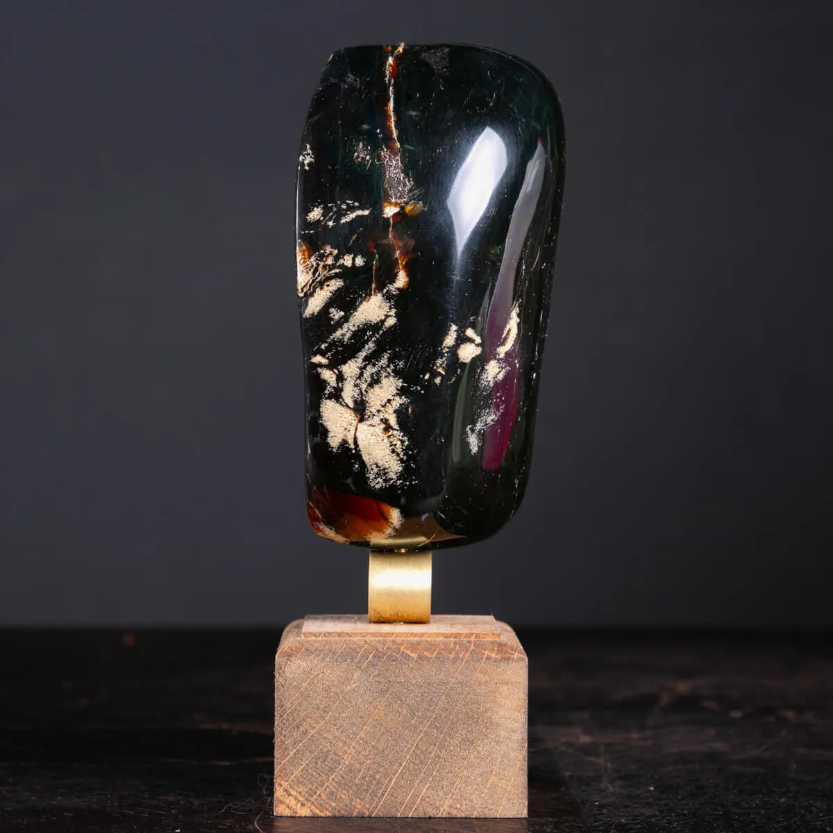 Ambra di Sumatra Un Fossile Organico da Collezione.