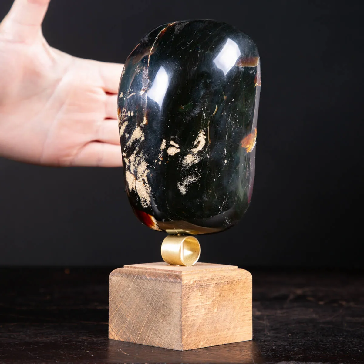 Ambra di Sumatra Un Fossile Organico da Collezione.