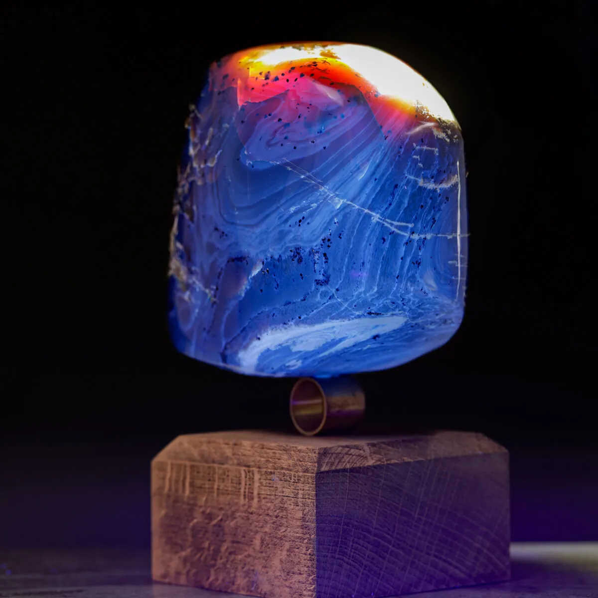 Ambra di Sumatra – Dal Miocene ai Cabinet de Curiosités.