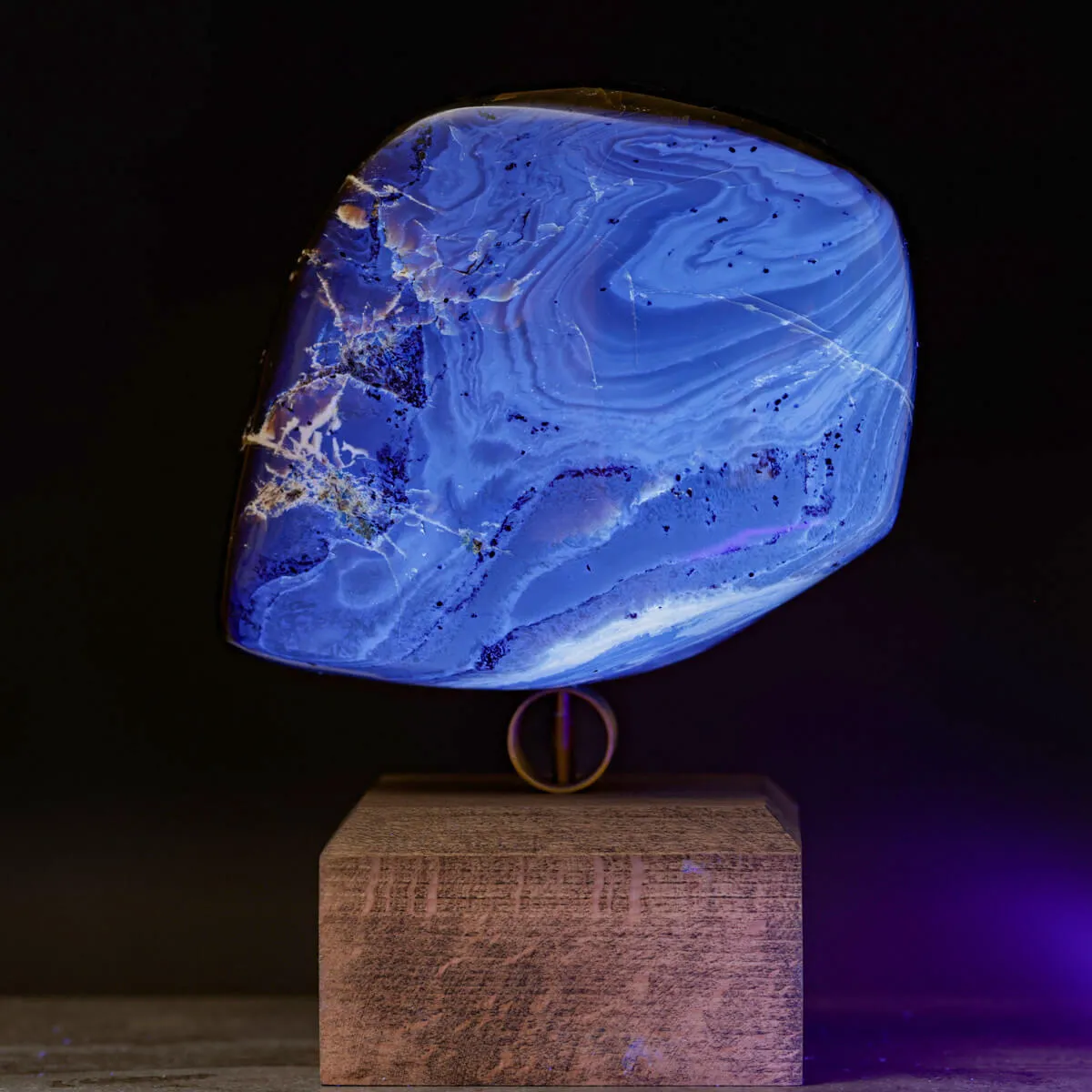 Ambra di Sumatra – Dal Miocene ai Cabinet de Curiosités.