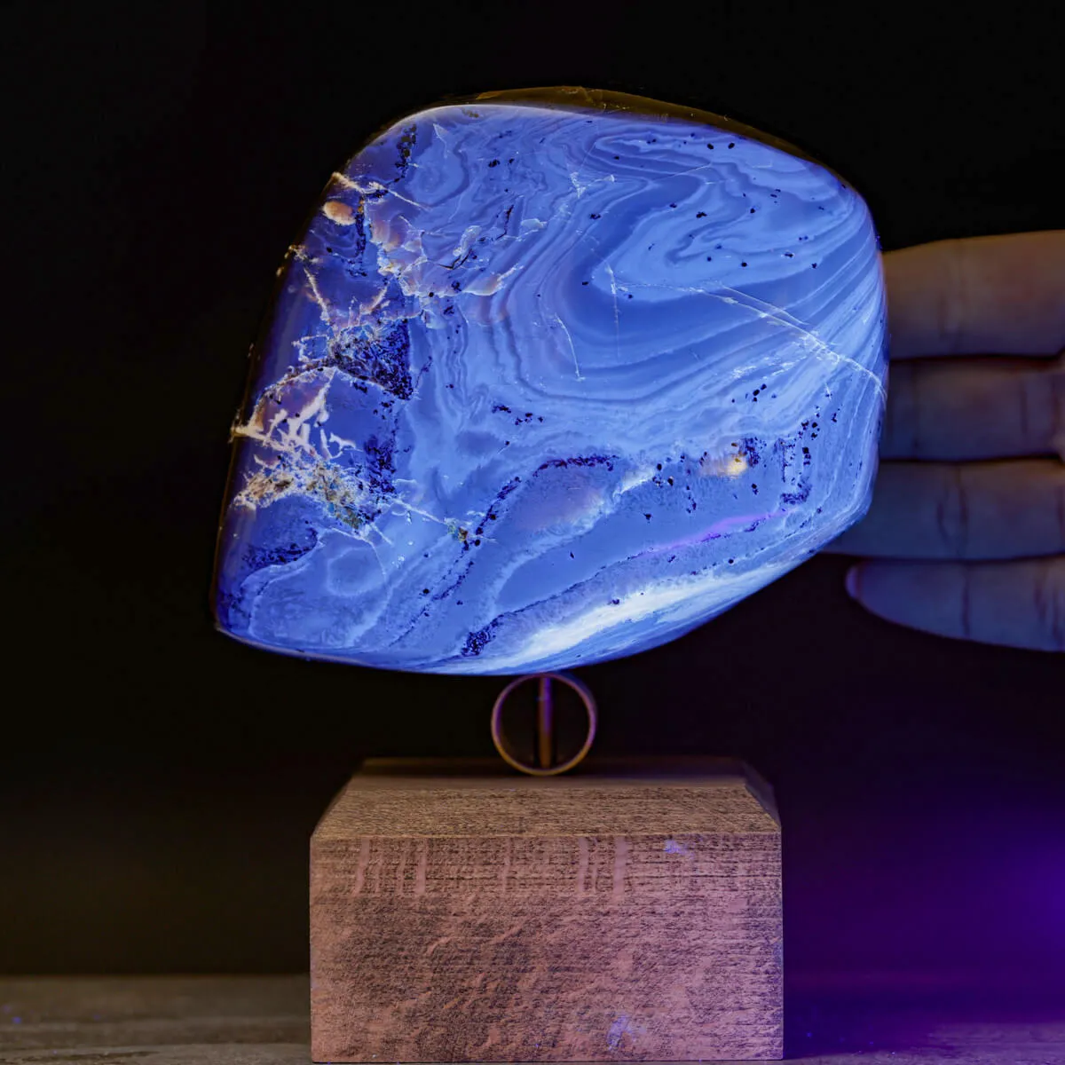 Ambra di Sumatra – Dal Miocene ai Cabinet de Curiosités.