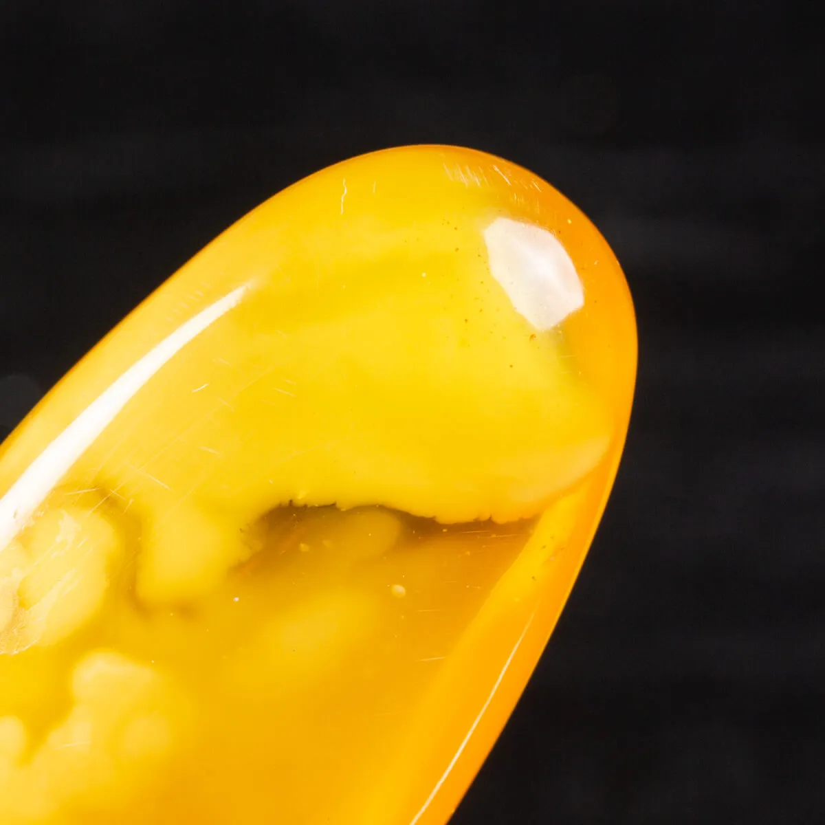 Ambra Butterscotch
